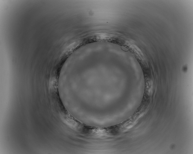 X0000099510419200805221426