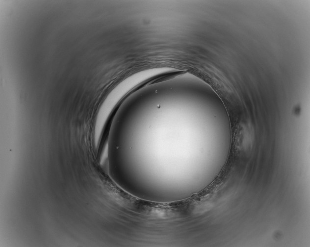 X0000099510420200805221426