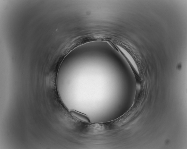 X0000099510421200805221426