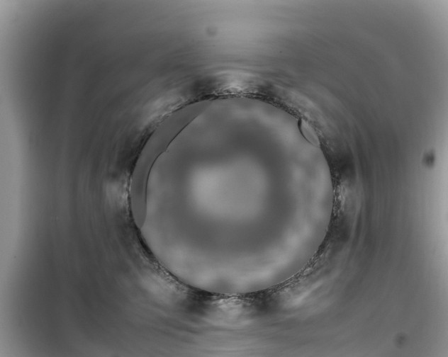 X0000099510423200805221426