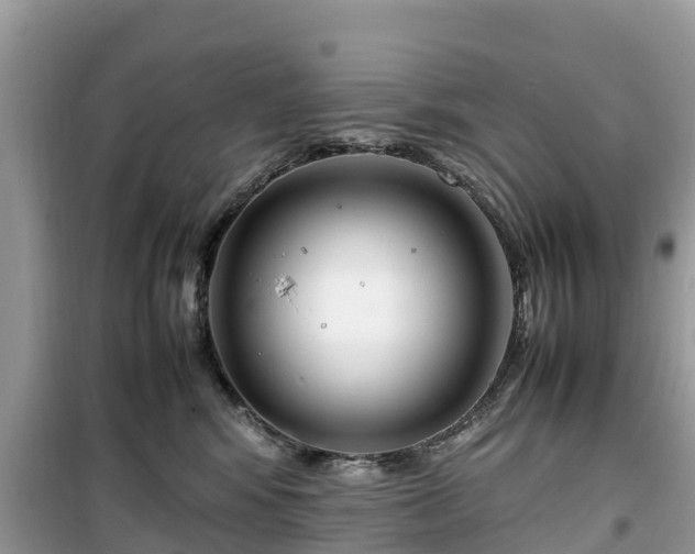 X0000099510424200805221426