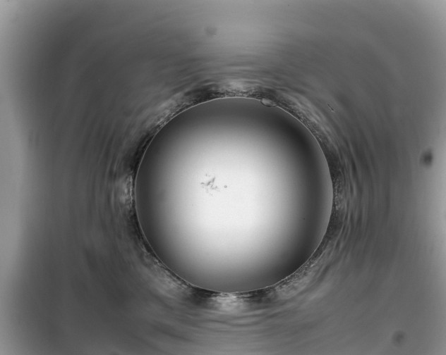 X0000099510425200805221426