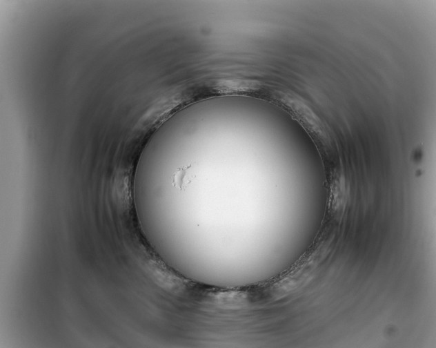X0000099510426200805221426