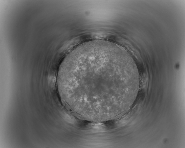 X0000099510427200805221426