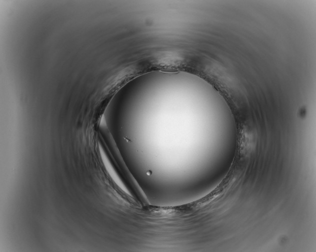 X0000099510428200805221426