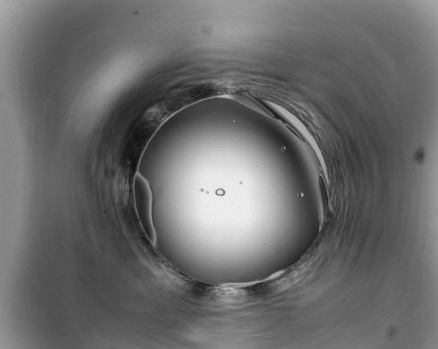 X0000099510429200805221426