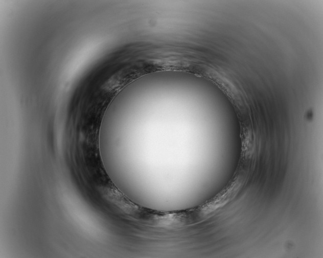 X0000099510430200805221426