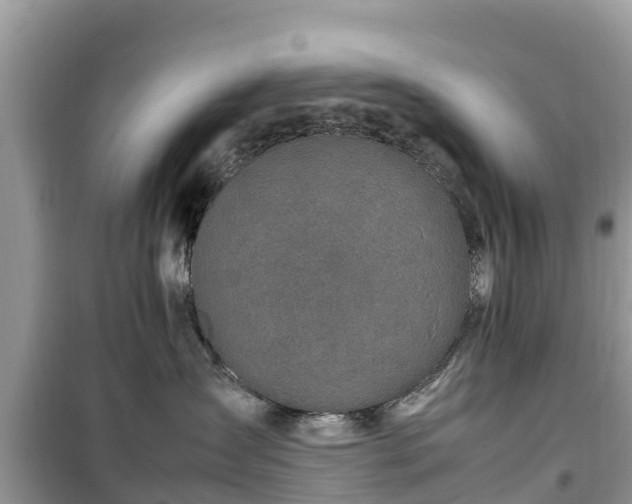 X0000099510431200805221426
