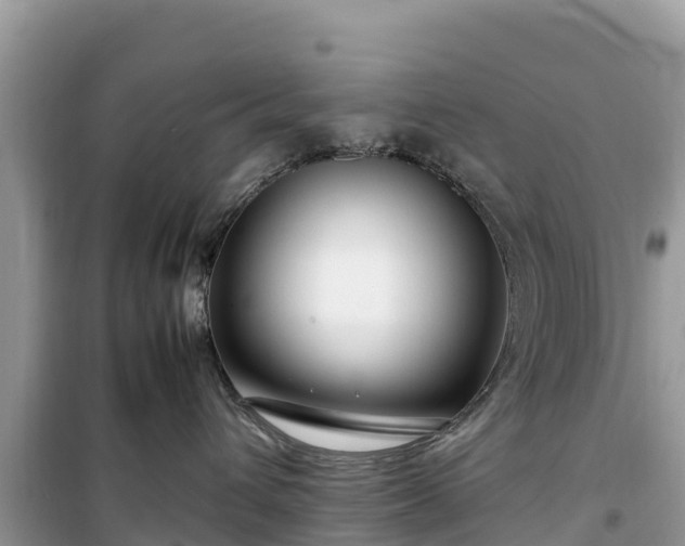 X0000099510432200805221426