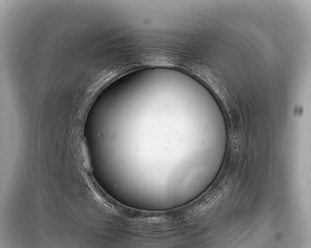 X0000099510433200805221425