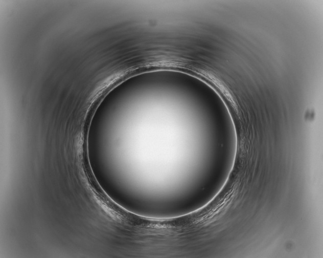 X0000099510437200805221425