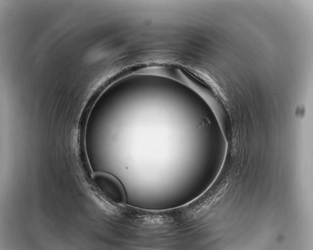 X0000099510439200805221425