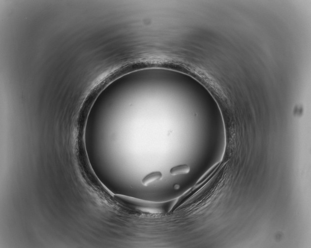 X0000099510440200805221425