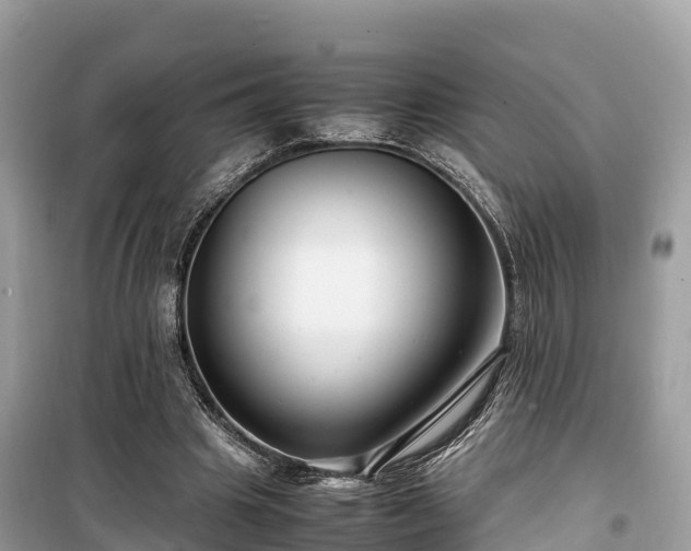X0000099510441200805221425