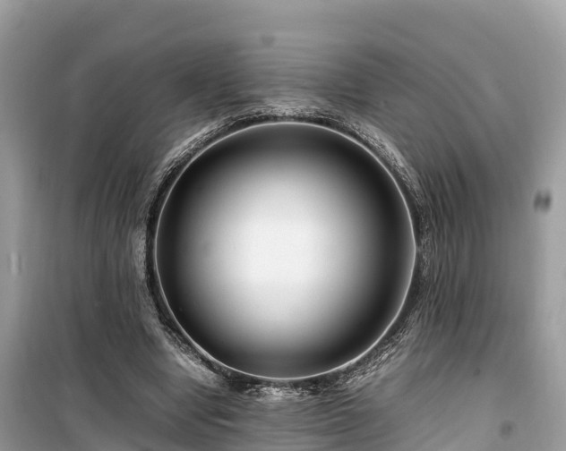 X0000099510442200805221425