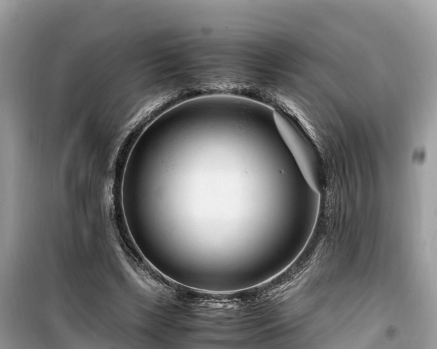X0000099510443200805221425