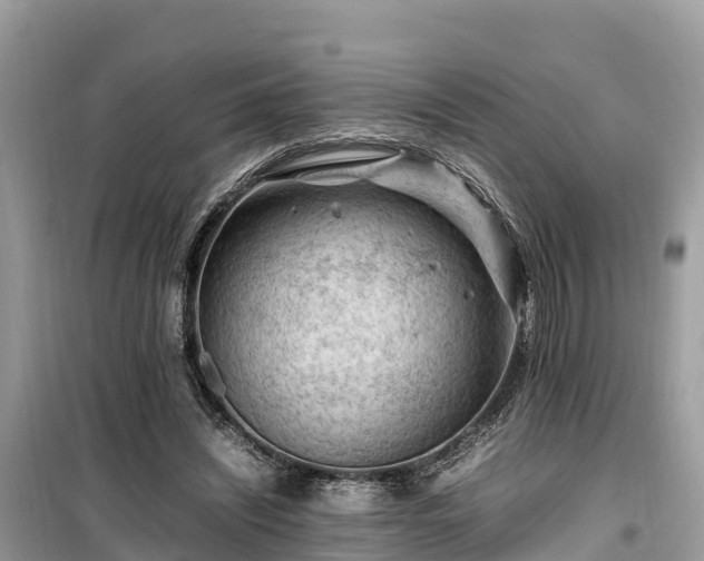 X0000099510444200805221425