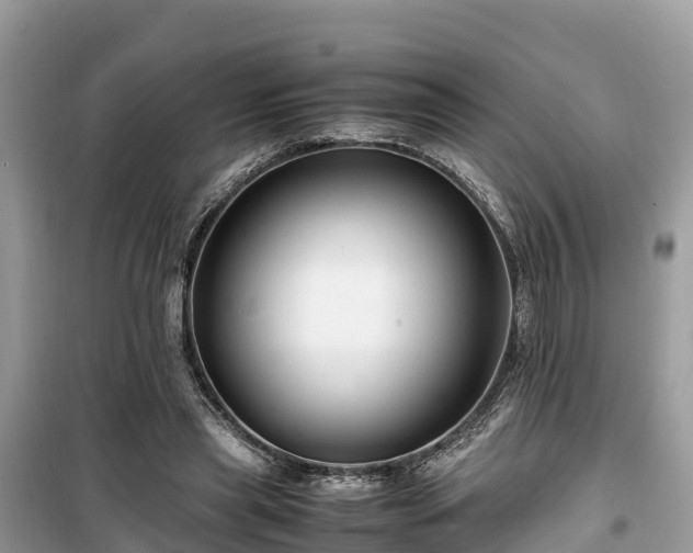 X0000099510445200805221425