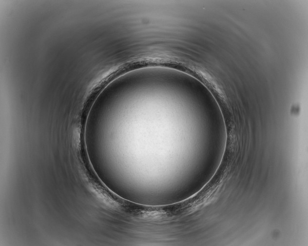 X0000099510446200805221425