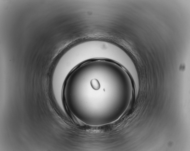 X0000099510448200805221425