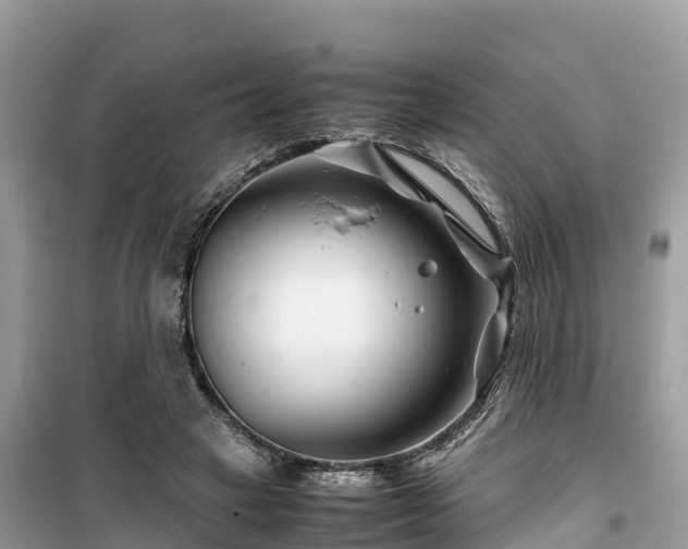 X0000099510449200805221426