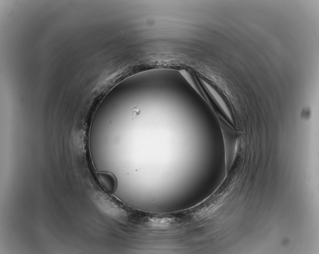 X0000099510450200805221426