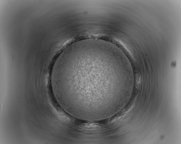 X0000099510451200805221426