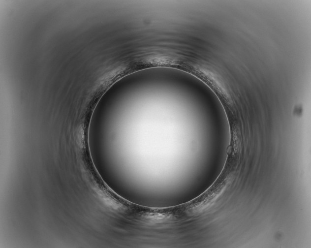 X0000099510453200805221426