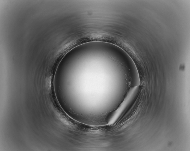 X0000099510454200805221426