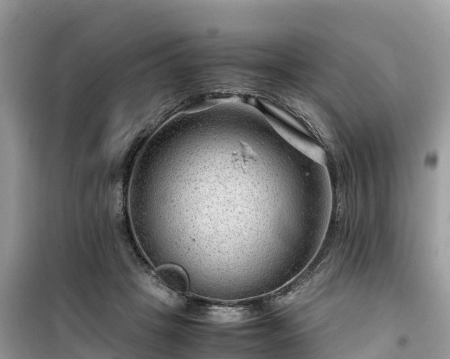 X0000099510457200805221426