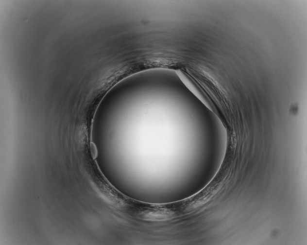 X0000099510459200805221426