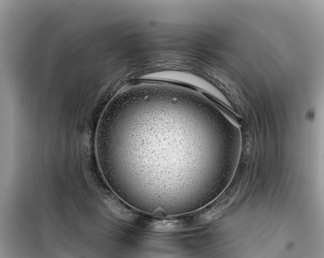 X0000099510461200805221426