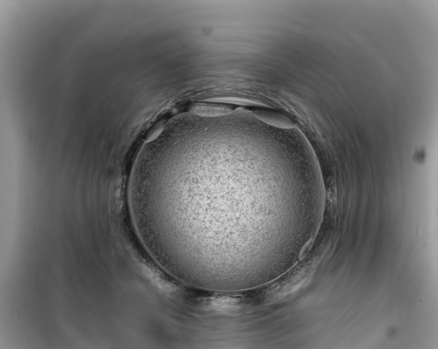 X0000099510462200805221426