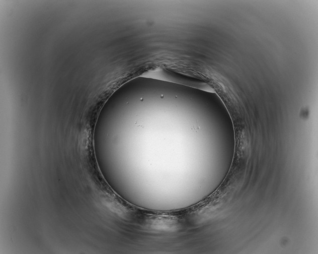 X0000099510463200805221426