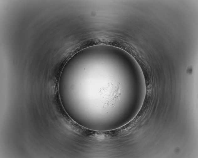X0000099510464200805221426