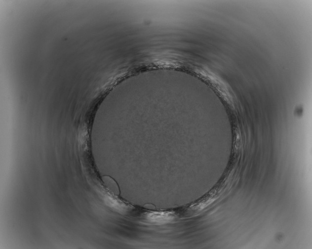 X0000099510465200805221426