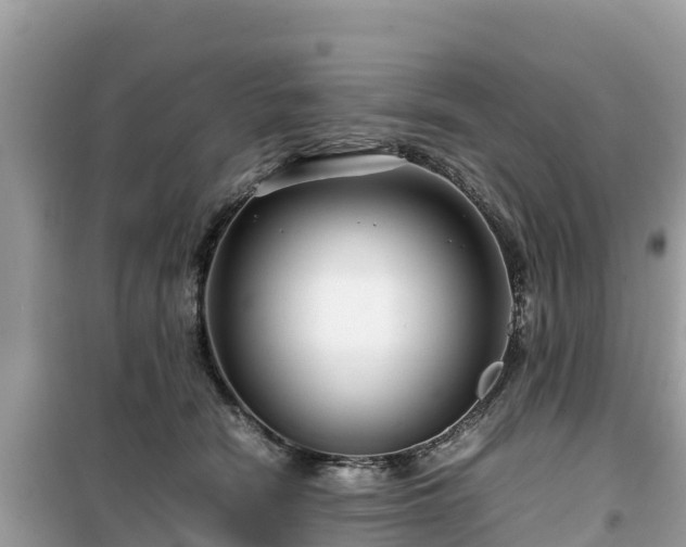 X0000099510466200805221426