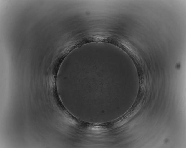 X0000099510467200805221426