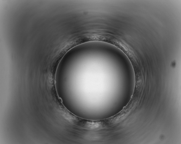 X0000099510469200805221426