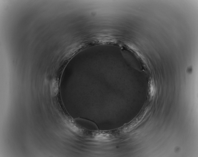 X0000099510471200805221426