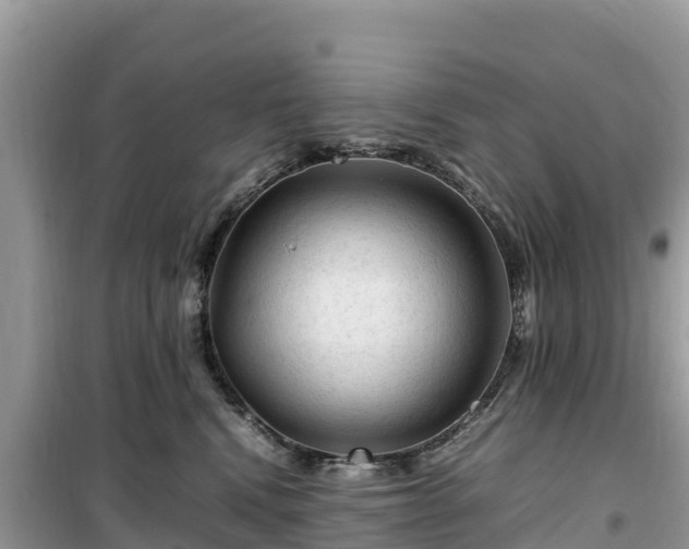 X0000099510472200805221426