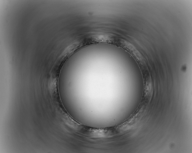 X0000099510473200805221426