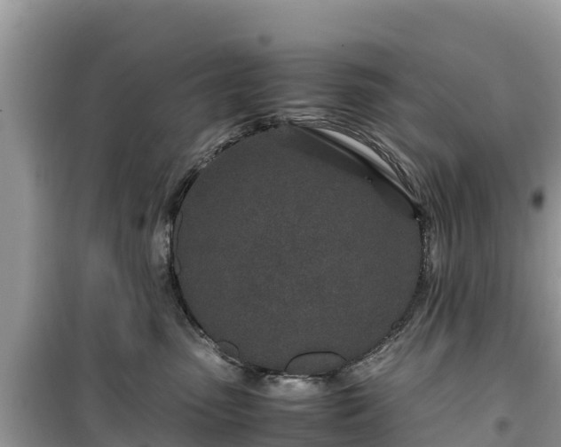 X0000099510475200805221426