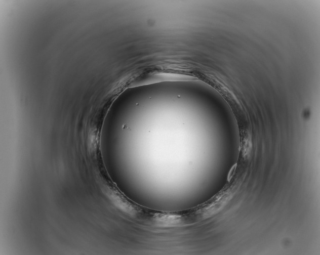 X0000099510476200805221426