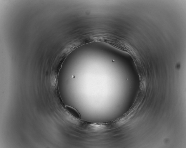 X0000099510477200805221426