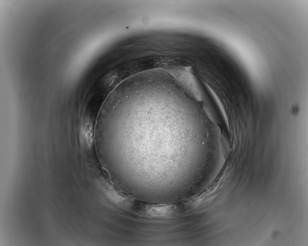 X0000099510479200805221426