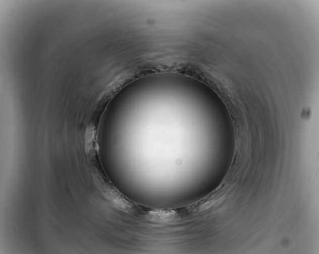 X0000099510480200805221426
