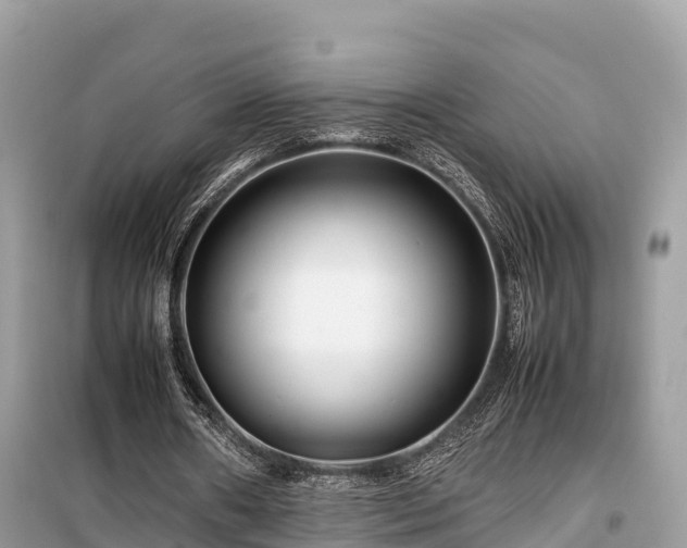X0000099510482200805221425