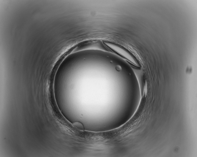 X0000099510483200805221425