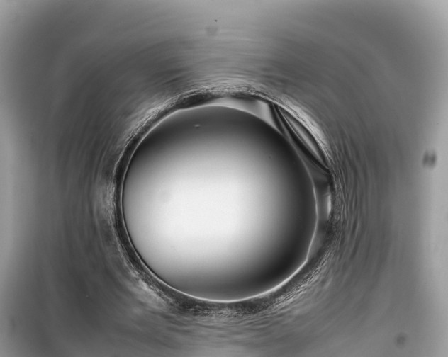 X0000099510485200805221425
